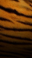 descargar wallpaper abstracto